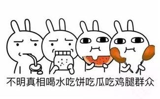 娱乐圈吃瓜的正确方式